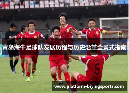 青岛海牛足球队发展历程与历史沿革全景式指南 青岛海牛足球队发展历程与历史沿革全景式指南